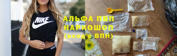 spice Аркадак