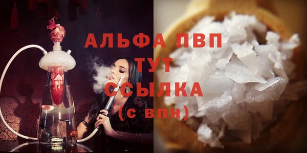 spice Аркадак