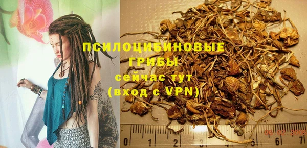 гашик Алзамай