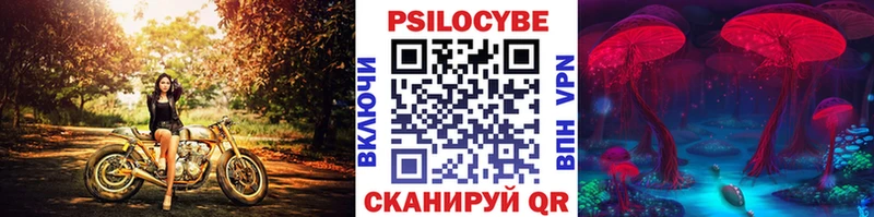Галлюциногенные грибы Psilocybe  Щёкино 